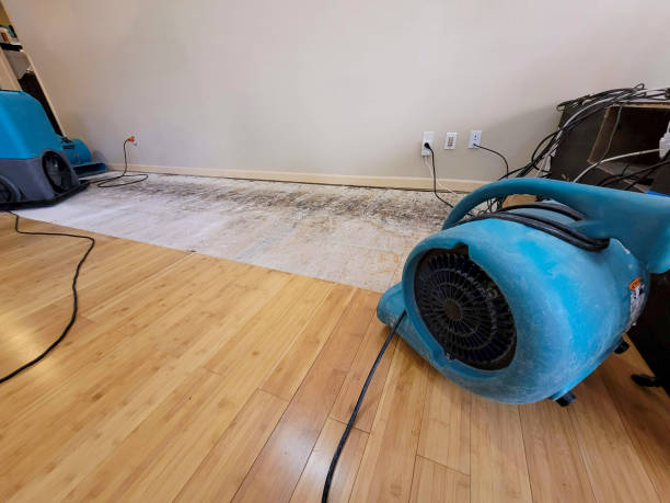 Professional Basement Flood Cleanup technician working in Shrewsbury, PA